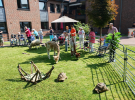 Rollender Zoo