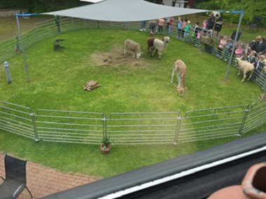 Tierischer Besuch im Haus Haarzopf
