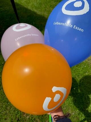 Riehlparkfest